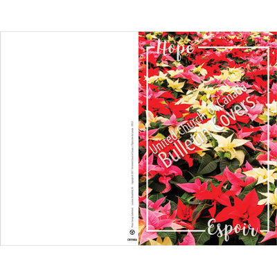 Special Occasion Bulletin: Hope: Poinsettias (Package of 100)