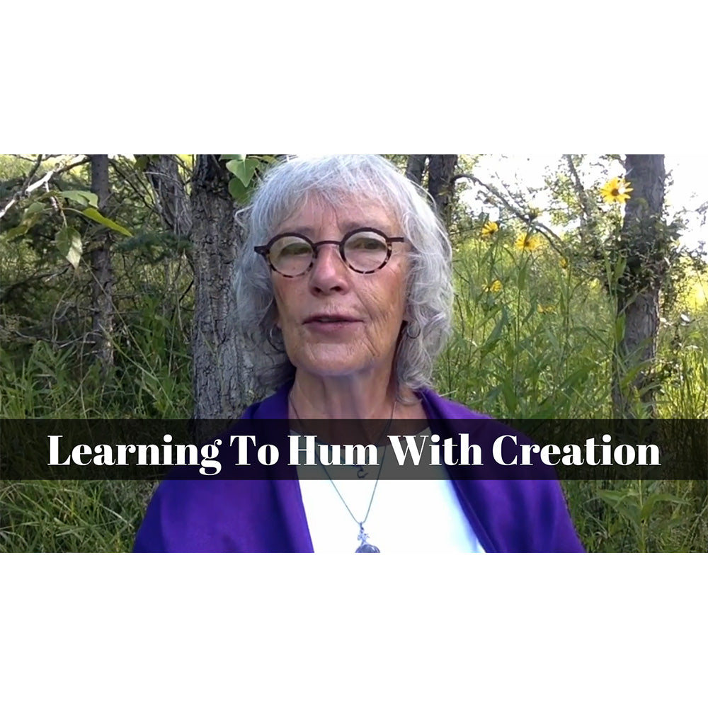 June 04, 2021 - Proper 09: “Learning to Hum with Creation” A Worship Service Package Based on Genesis 1:1-31