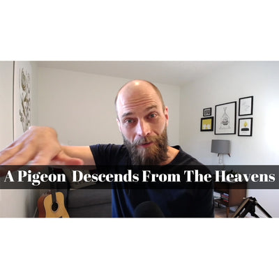 January 09 – Epiphany 01: “A Pigeon Descends from the Heavens” A Worship Service Package Based on Luke 3:15-17 &amp; 21-22