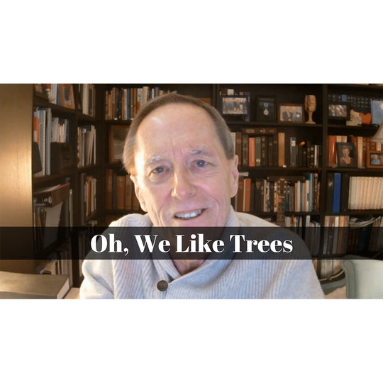 February 13 – Epiphany 06: “Oh, We Like Trees” A Worship Service Package Based on Psalm 1