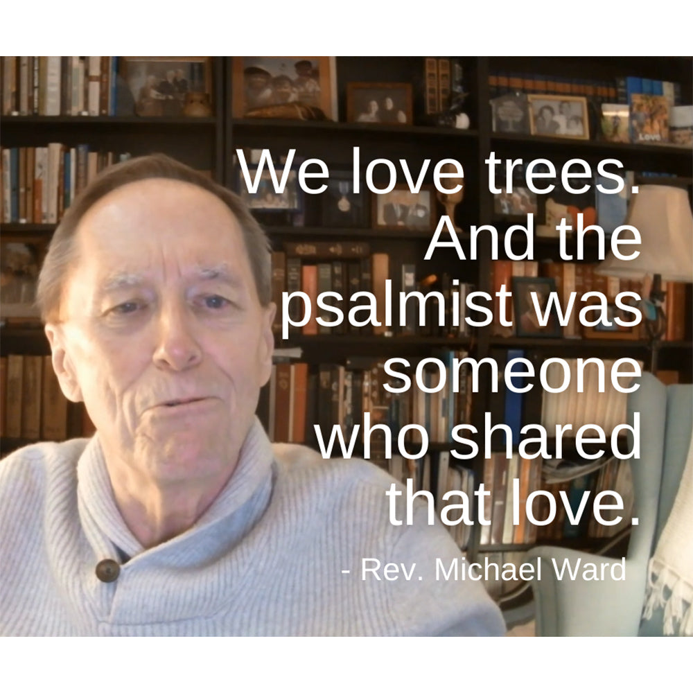 February 13 – Epiphany 06: “Oh, We Like Trees” A Worship Service Package Based on Psalm 1