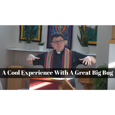 March 26, 2023 – Lent 05: “A Cool Experience with a Great Big Bug” A Worship Service Package Based on Ezekiel 37:1-14